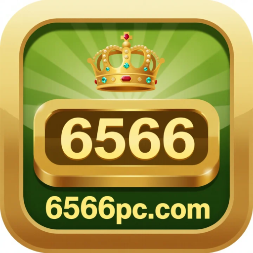 6566